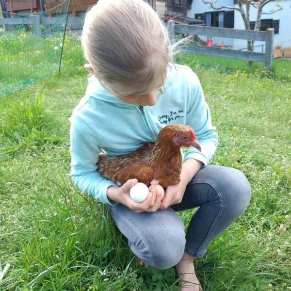 Willa Braun Hof Fischbachau Zewnętrze zdjęcie
